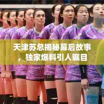 天津苏总揭秘幕后故事，独家爆料引人瞩目
