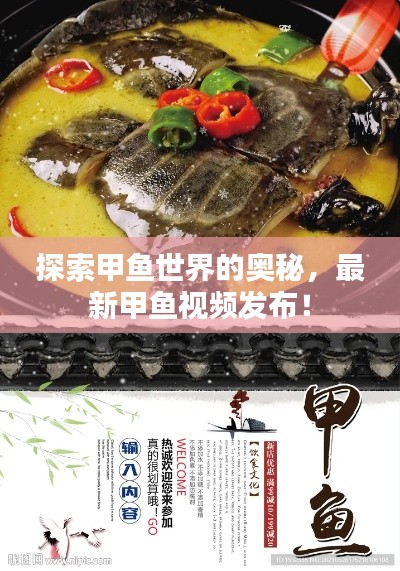 探索甲鱼世界的奥秘，最新甲鱼视频发布！