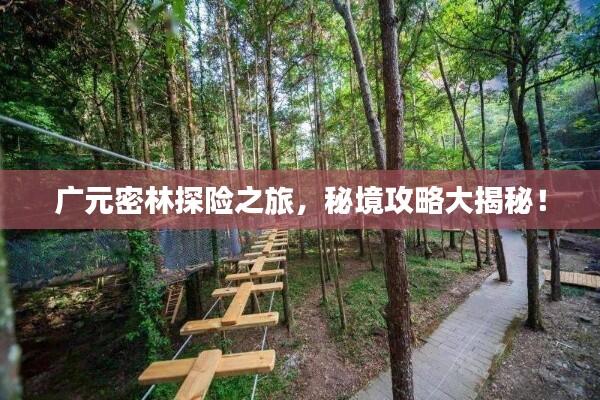 广元密林探险之旅，秘境攻略大揭秘！