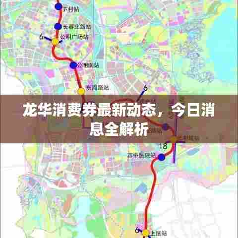 龙华消费券最新动态，今日消息全解析