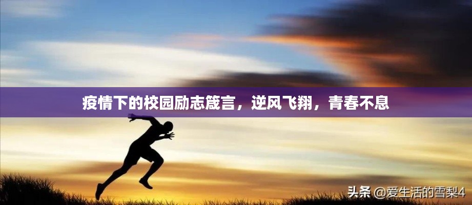 疫情下的校园励志箴言，逆风飞翔，青春不息