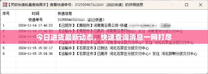 今日进货最新动态，快速查询消息一网打尽