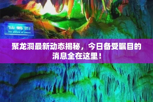 聚龙洞最新动态揭秘，今日备受瞩目的消息全在这里！