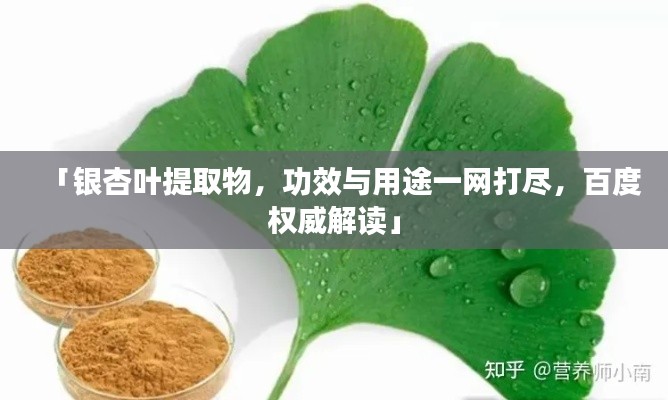「银杏叶提取物，功效与用途一网打尽，百度权威解读」