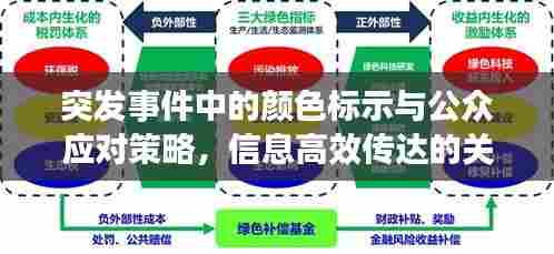 突发事件中的颜色标示与公众应对策略，信息高效传达的关键