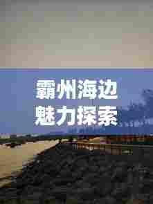 霸州海边魅力探索攻略
