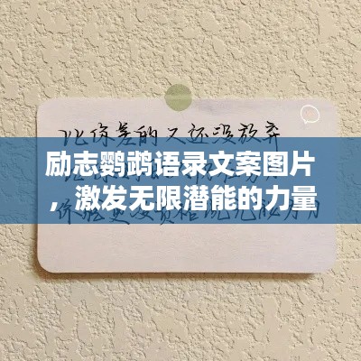 励志鹦鹉语录文案图片，激发无限潜能的力量之言