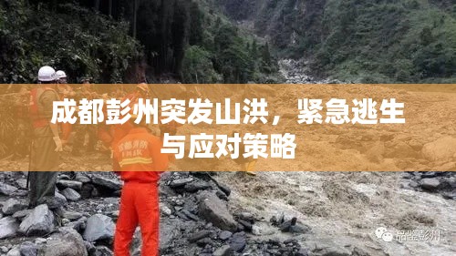 成都彭州突发山洪，紧急逃生与应对策略