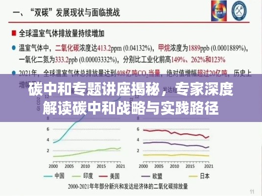 碳中和专题讲座揭秘，专家深度解读碳中和战略与实践路径