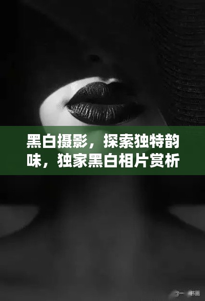 黑白摄影，探索独特韵味，独家黑白相片赏析