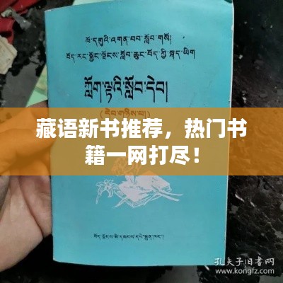 藏语新书推荐，热门书籍一网打尽！