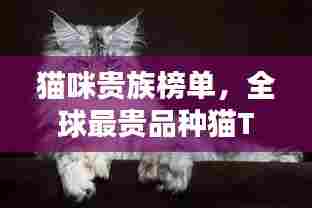 猫咪贵族榜单，全球最贵品种猫TOP10