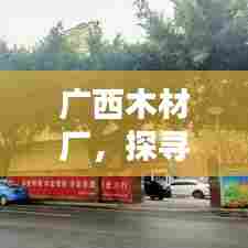 广西木材厂，探寻中国木材产业繁荣之源