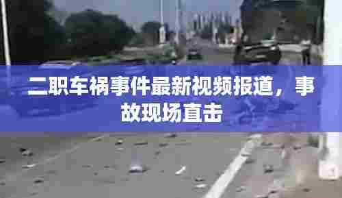 二职车祸事件最新视频报道，事故现场直击