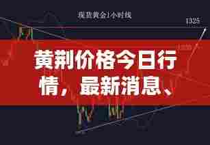 黄荆价格今日行情，最新消息、深度分析与查询结果揭秘