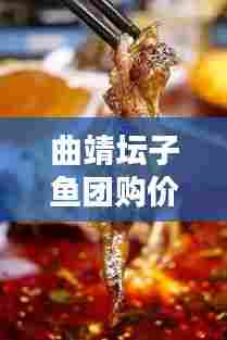 曲靖坛子鱼团购价格大揭秘，最新动态一网打尽