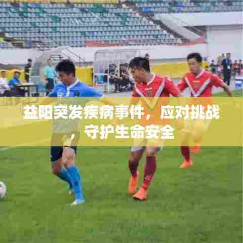 益阳突发疾病事件，应对挑战，守护生命安全