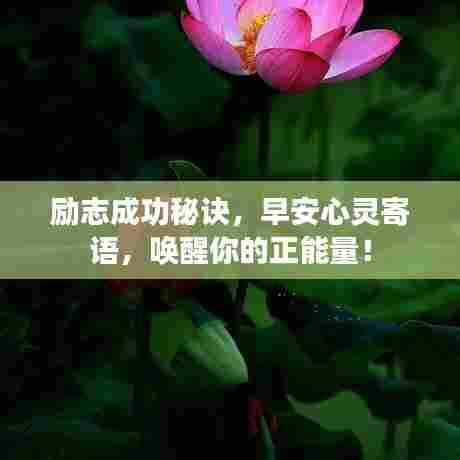 励志成功秘诀，早安心灵寄语，唤醒你的正能量！