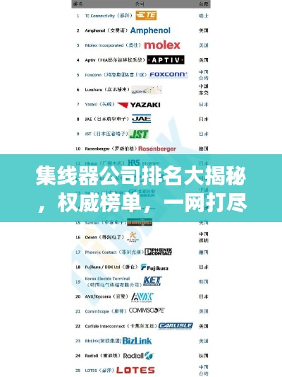 集线器公司排名大揭秘，权威榜单，一网打尽！