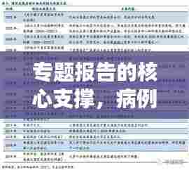 专题报告的核心支撑，病例佐证的重要性分析
