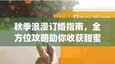秋季浪漫订婚指南，全方位攻略助你收获甜蜜爱情承诺