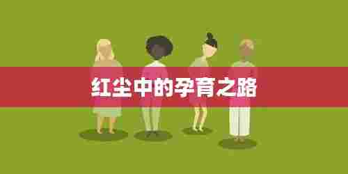 红尘中的孕育之路