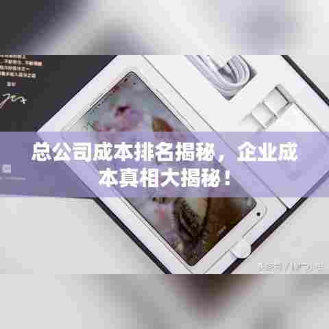 总公司成本排名揭秘，企业成本真相大揭秘！