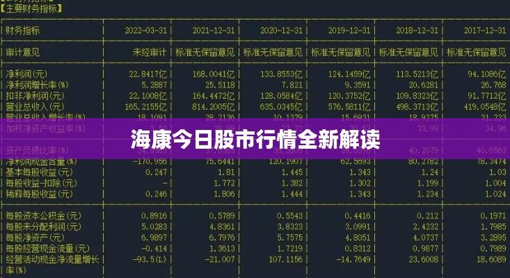 海康今日股市行情全新解读