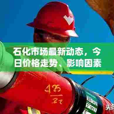 石化市场最新动态，今日价格走势、影响因素及未来展望分析