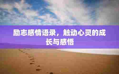 励志感情语录，触动心灵的成长与感悟