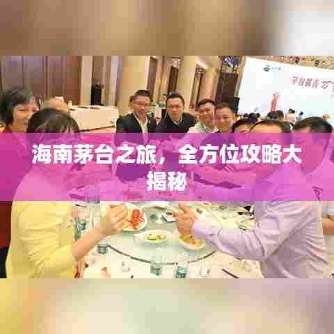 海南茅台之旅，全方位攻略大揭秘