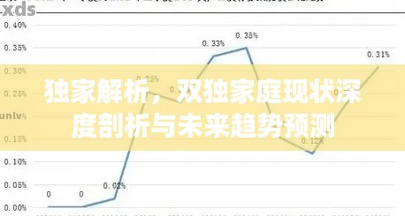 独家解析，双独家庭现状深度剖析与未来趋势预测