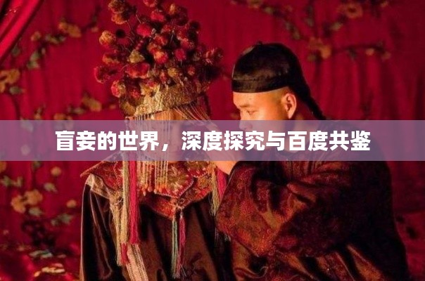 盲妾的世界，深度探究与百度共鉴