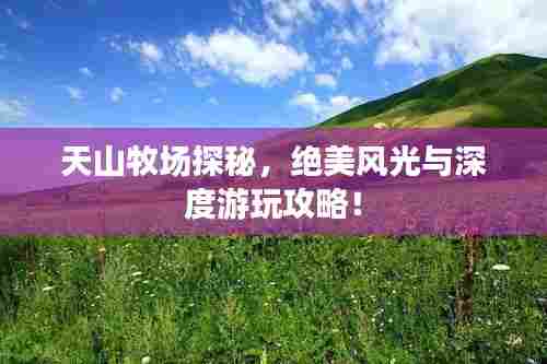 天山牧场探秘，绝美风光与深度游玩攻略！