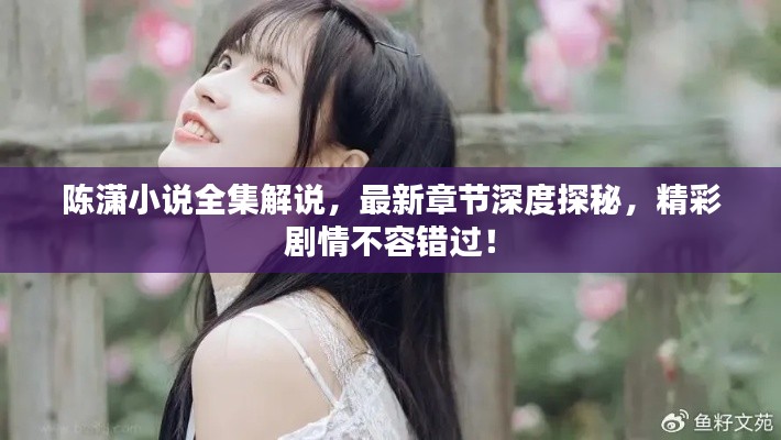 陈潇小说全集解说，最新章节深度探秘，精彩剧情不容错过！