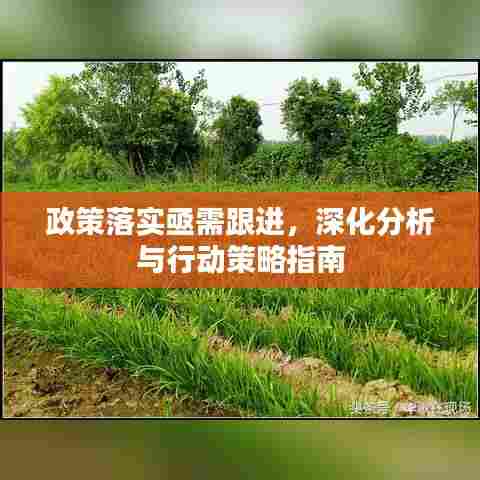 政策落实亟需跟进，深化分析与行动策略指南