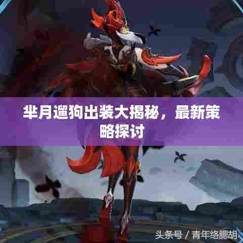 芈月遛狗出装大揭秘，最新策略探讨