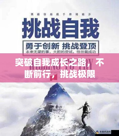突破自我成长之路，不断前行，挑战极限