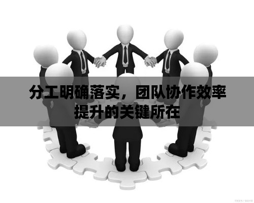 分工明确落实，团队协作效率提升的关键所在