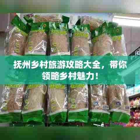 抚州乡村旅游攻略大全，带你领略乡村魅力！