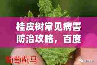桂皮树常见病害防治攻略，百度助你了解预防，守护绿植健康