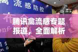 腾讯禽流感专题报道，全面解析疫情动态与防控措施