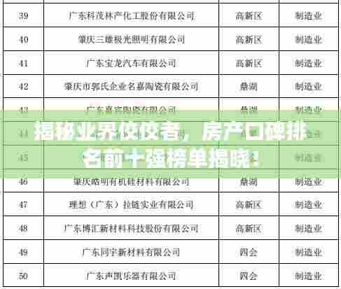 揭秘业界佼佼者，房产口碑排名前十强榜单揭晓！