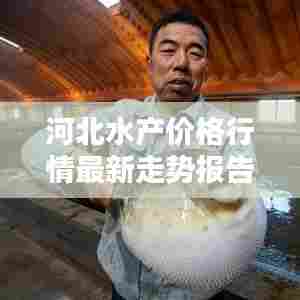 河北水产价格行情最新走势报告揭秘！