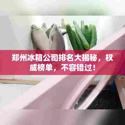 郑州冰箱公司排名大揭秘，权威榜单，不容错过！