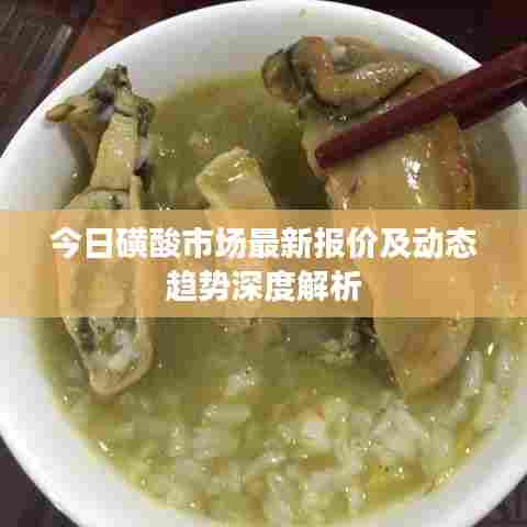 今日磺酸市场最新报价及动态趋势深度解析