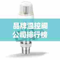 品牌温控阀公司排行榜大揭秘，最新排名一网打尽！