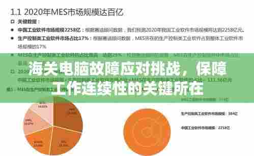 海关电脑故障应对挑战，保障工作连续性的关键所在