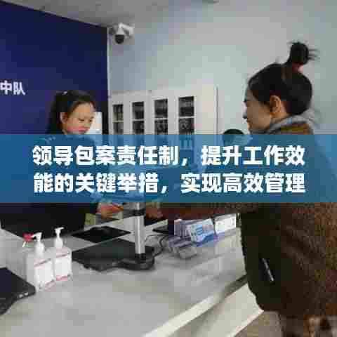 领导包案责任制，提升工作效能的关键举措，实现高效管理的突破之路