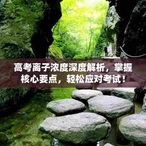 高考离子浓度深度解析，掌握核心要点，轻松应对考试！